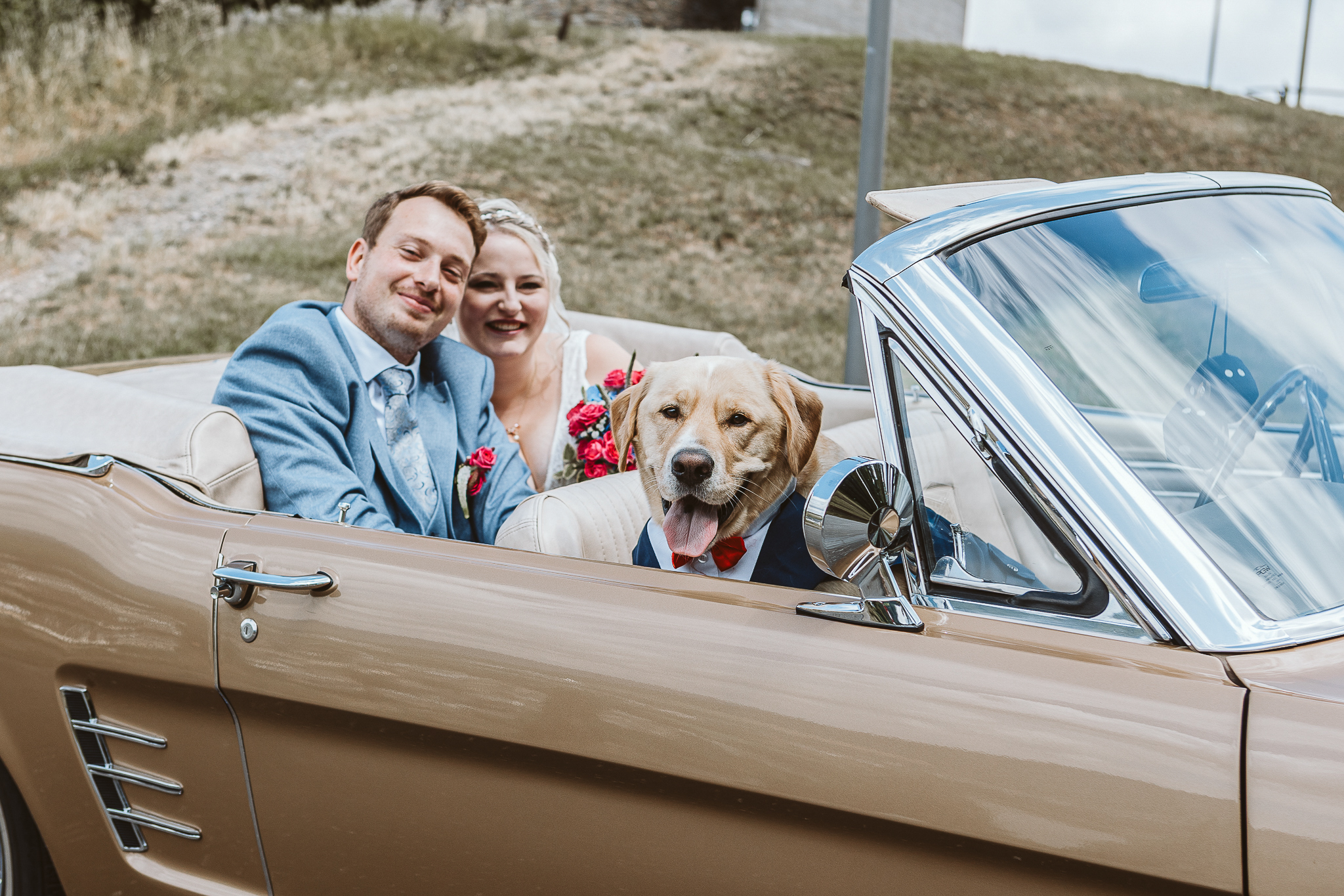 Hochzeit Bernkastel Kues - Hochzeit mit Hund